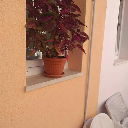 Apartman Milena Apartment *