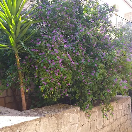 Apartment Apartman Milena Korcula Town